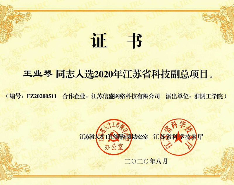 王业琴科技副总.jpg